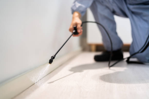 Licensed Mosquito Control service in Brigham City, UT - Show Me Pest Control