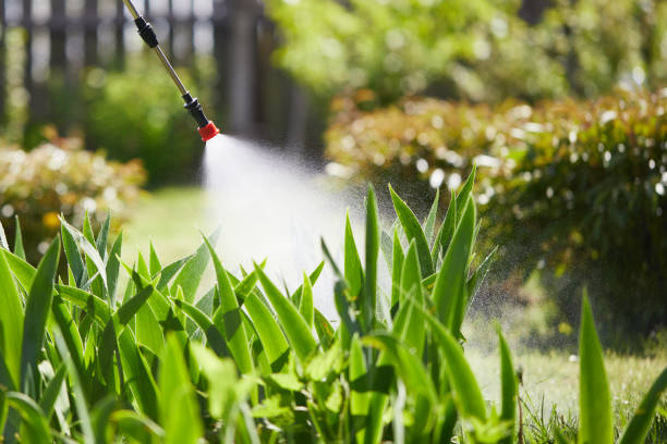 24/7 Emergency Mosquito Control experts in Brigham City, UT