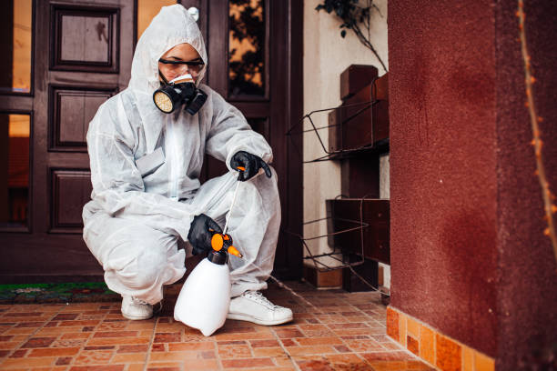 Reliable Mosquito Control contractor in Brigham City, UT by Show Me Pest Control