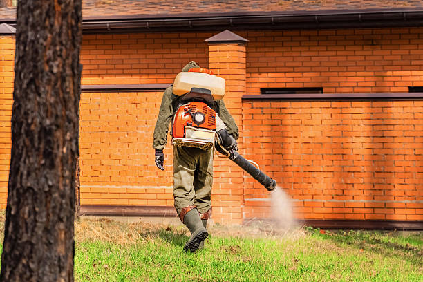 Top rated local Mosquito Control specialists in Brigham City, UT
